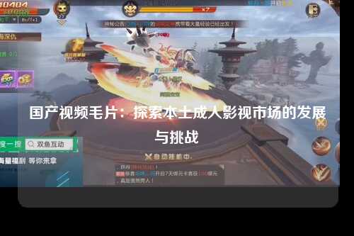 国产视频毛片：探索本土成人影视市场的发展与挑战