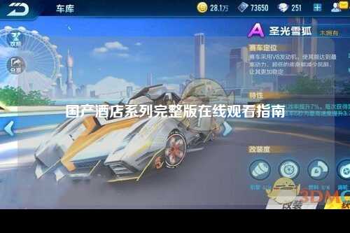 国产酒店系列完整版在线观看指南