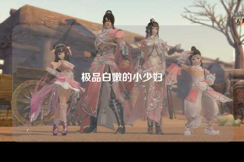 极品白嫩的小少妇