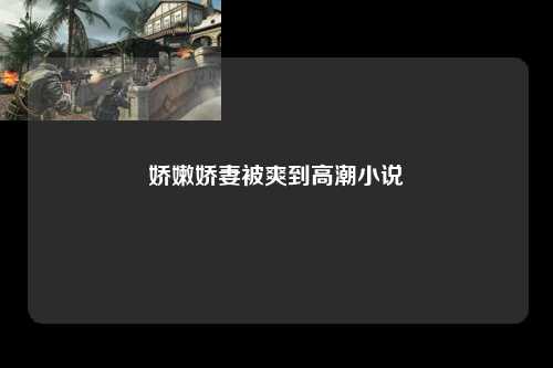 娇嫩娇妻被爽到高潮小说