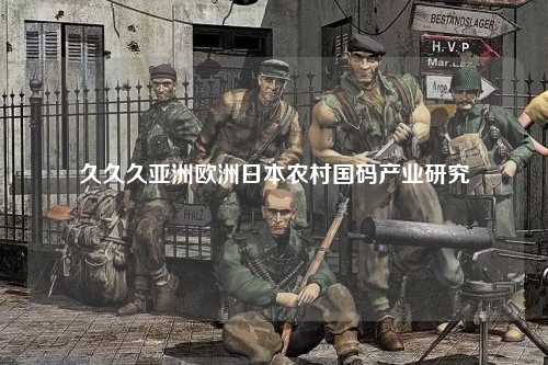 久久久亚洲欧洲日本农村国码产业研究