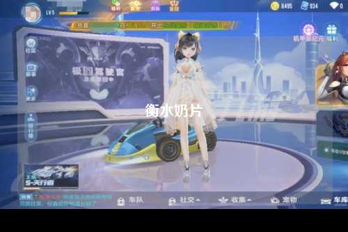 衡水奶片