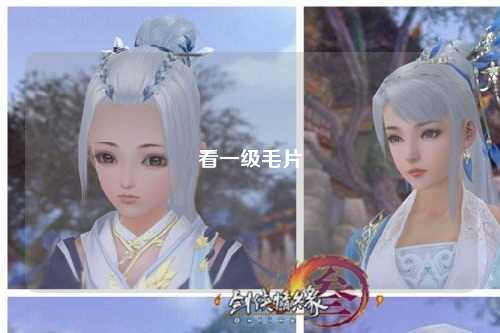 看一级毛片