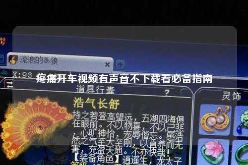 疼痛开车视频有声音不下载看必备指南